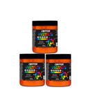 Kit 3 unidades mascara de vitaminas coiffer 500g