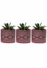 Kit 3 Vaso em Cimento Suculenta Planta Artificial Cor Pink Kit 3 Vaso em Cimento Suculenta Planta Artificial Cor Pink