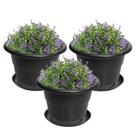 Kit 3 Vaso Redondo Pequeno Com Prato Plástico Para Flores Plantas Jardim Preto - AMZ Kit 3 Vaso Redondo Pequeno Com Prato Plástico Para Flores Plantas Jardim Preto - AMZ