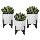 Kit 3 Vasos Cachepot Flor Suculenta Decorativo Elegante