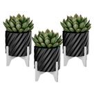 Kit 3 Vasos Cachepot Flor Suculenta Decorativo Elegante Kit 3 Vasos Cachepot Flor Suculenta Decorativo Elegante