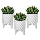 Kit 3 Vasos Cachepot Flor Suculenta Decorativo Elegante Kit 3 Vasos Cachepot Flor Suculenta Decorativo Elegante