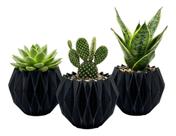 Kit 3 Vasos Cachepot Suculenta Erva Flor Decora Casa Origami