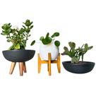 Kit 3 Vasos de Planta Decoração Para Prateleira Estante Mesa