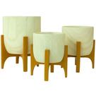 Kit 3 Vasos Linha Genebra com Suporte de Madeira Baixo