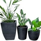 Kit 3 Vasos Médios Para Planta e Decoração Interna Externa