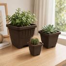 Kit 3 Vasos Quadrado Injetado Decorativos Mesa Centro para Plantas Suculentas Cactos
