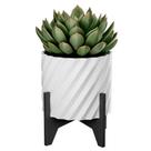 Kit 3 Vasos Suspenso Funcional Cachepot Suculenta Flor Kit 3 Vasos Suspenso Funcional Cachepot Suculenta Flor