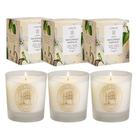 Kit 3 Vela Perfumada Patchouli Vanilla Oriental Aromática Lenvie Vidro 210g