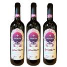 Kit 3 Vinho Tinto Licoroso de Jabuticaba Artesanal Jabuticabal 750ml