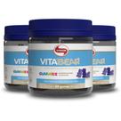 Kit 3 Vita Bear Multivitamínico Vitafor 60 Gomas