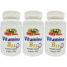 Kit 3 Vitamina B12 180 Cápsulas - Rei Terra