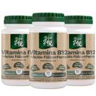 Kit 3 Vitamina B12 + Ácido Fólico + Ferro (Produto Vegano) 60 Cápsulas 500mg