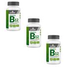 Kit 3 Vitamina B12 Max Metilcobalamina 60 Cápsulas Chamel