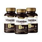Kit 3 Vitamina B12 Metilcobalamina 60 Caps Melfort