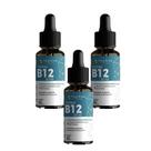 Kit 3 Vitamina B12 Sabor Morango Metilcobalamina 3x30ml B12 Floral Ervas do Brasil