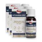 Kit 3 Vitamina B12 Vitafor 20ml Menta Kit 3 Vitamina B12 Vitafor 20ml Menta