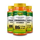 Kit 3 Vitamina B6 Piridoxina Unilife 60 Cápsulas Kit 3 Vitamina B6 Piridoxina Unilife 60 Cápsulas