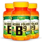 Kit 3 Vitamina B9 Ácido Fólico 60 cápsulas Unilife