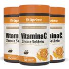 Kit 3 Vitamina C 1000mg Com Zinco e Selênio 60 Cápsulas Fitoprime Kit 3 Vitamina C 1000mg Com Zinco e Selênio 60 Cápsulas Fitoprime