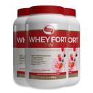 Kit 3 Whey Fort 3W Vitafor Frutas Vermelhas 900g