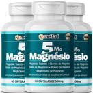 Kit 3 x 5 Magnésios Malato Taurato Óxido Bisglicinato Cloreto 120 Cápsulas
