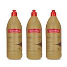 Kit 3 Yamasterol Argan 900ml