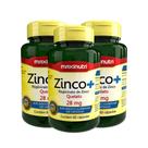 Kit 3 Zinco+ 28mg com 60 Capsulas Maxinutri Kit 3 Zinco+ 28mg com 60 Capsulas Maxinutri