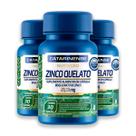 Kit 3 Zinco Catarinense 30 Cápsulas