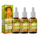 Kit 3 Zinco Gotas 20ml Sabor Morango Zintrix Kids Flora Nativa Kit 3 Zinco Gotas 20ml Sabor Morango Zintrix Kids Flora Nativa