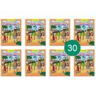 Kit 30 Livrinhos Davi e Golias Lembrancinha de Festa Sacolinha Aniversário Surpresa