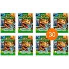 Kit 30 Livrinhos Dinossauro Tiranossauro Rex Lembrancinha De Festa Sacolinha Aniversário