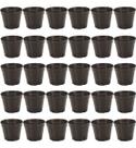 Kit 30 Vasinhos Para Suculenta Preto 150ml Vaso Para Muda De Plantas Plastico Pequeno