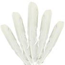 Kit 30un Pena de Passaro Leke Leke Africano Para Ritual Candomble Espiritual