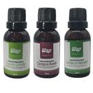 Kit 3un Essência Hidrossolúvel Limão e Hortelã Cereja Avelã Capim Limão WAP para Difusor 30ml CP3646