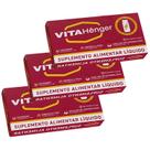 Kit 3un VitaHenger Suplemento Vitaminico 16 Flaconetes 5ml Cada