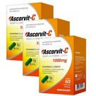 KIT 3X Ascorvit-C 1000mg (Vitamina C + Zinco) 60 Cápsulas - Maxinutri KIT 3X Ascorvit-C 1000mg (Vitamina C + Zinco) 60 Cápsulas - Maxinutri