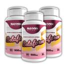 Kit 3x Belaform Cafeína, L-carnitina e Cromo 60 Cápsulas