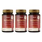 Kit 3x - Berberina - 70 cápsulas - Omix