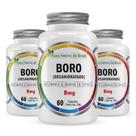 Kit 3x Boro Decahidratado 8mg 60 Cápsulas Cada - Flora Nativa