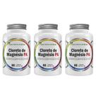 Kit 3x Cloreto de Magnésio PA 500mg 60 Cápsulas Flora Nativa