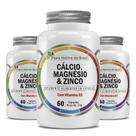 Kit 3x CMZ (Calcio, Magnesio, Zinco e D3) 60 Capsulas Cada - Flora Nativa
