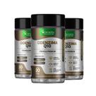 Kit 3x Coenzima Q10 Com Ômega 3 Vegetal e Vitamina E, Saúde e Vitalidade Denavita