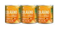 Kit 3x Colágeno Ácido Hialurônico suplemento em pó sabor tangerina 250g Flora Nativa