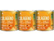 Kit 3x Colageno Hidrolisado Verisol Frutas Tangerina 250g - Flora nativa do brasil Kit 3x Colageno Hidrolisado Verisol Frutas Tangerina 250g - Flora nativa do brasil