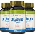 Kit 3x Colágeno Tipo 2 Natural 120 Cápsulas
