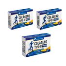 Kit 3x Colágeno Tipo II 40mg 3x60 cps Flora Nativa