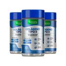 Kit 3x Colágeno Tipo II Denavita Suplemento Alimentar para Mobilidade Articular Com MSM e Magnésio