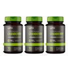 Kit 3x - Cranberry - 70 cápsulas - Omix Kit 3x - Cranberry - 70 cápsulas - Omix