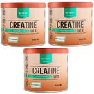 Kit 3x Creatina - Creatine Creapure - Nutrify 300g